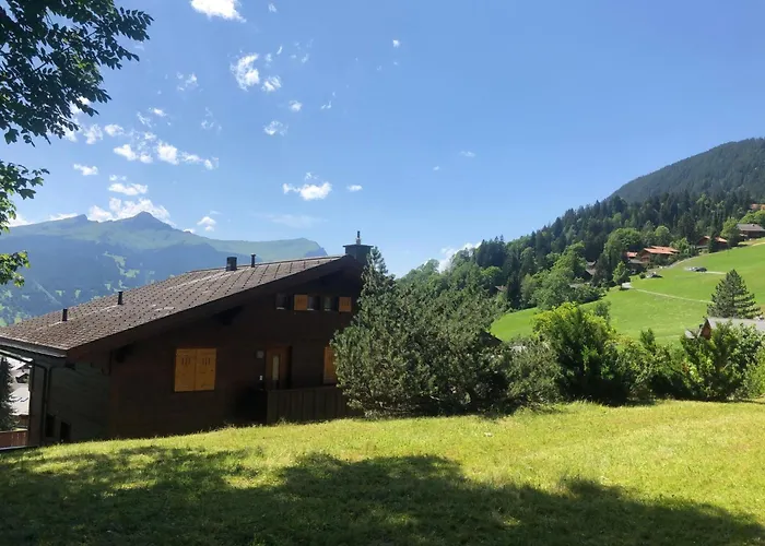 Sunneblick By Interhome Grindelwald